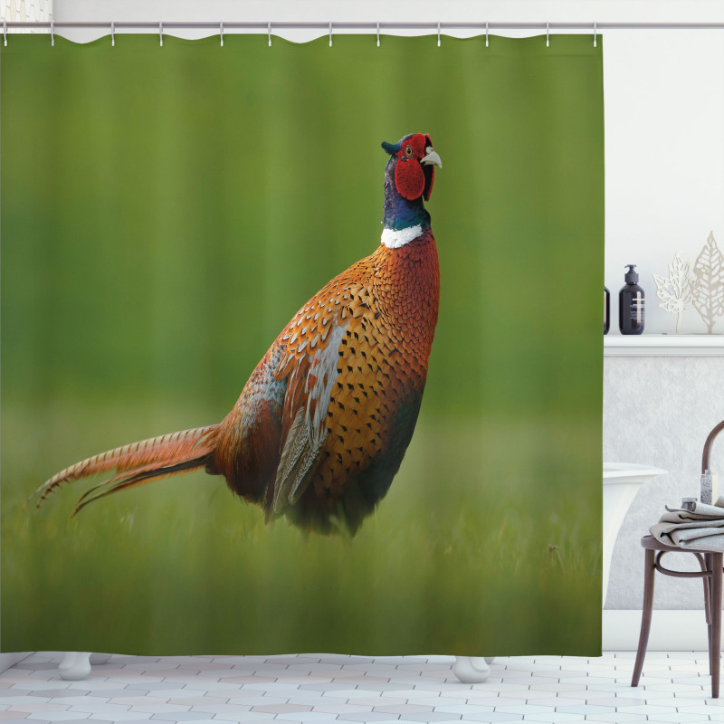 Pheasant Long Tail Meadow Shower Curtain