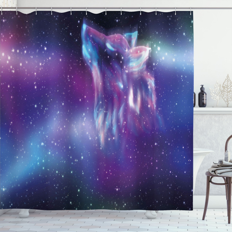Northern Aurora Borealis Shower Curtain