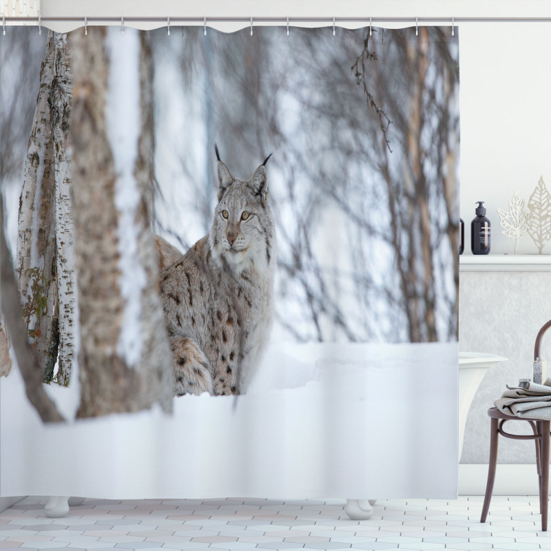 European Lynx Wilderness Shower Curtain