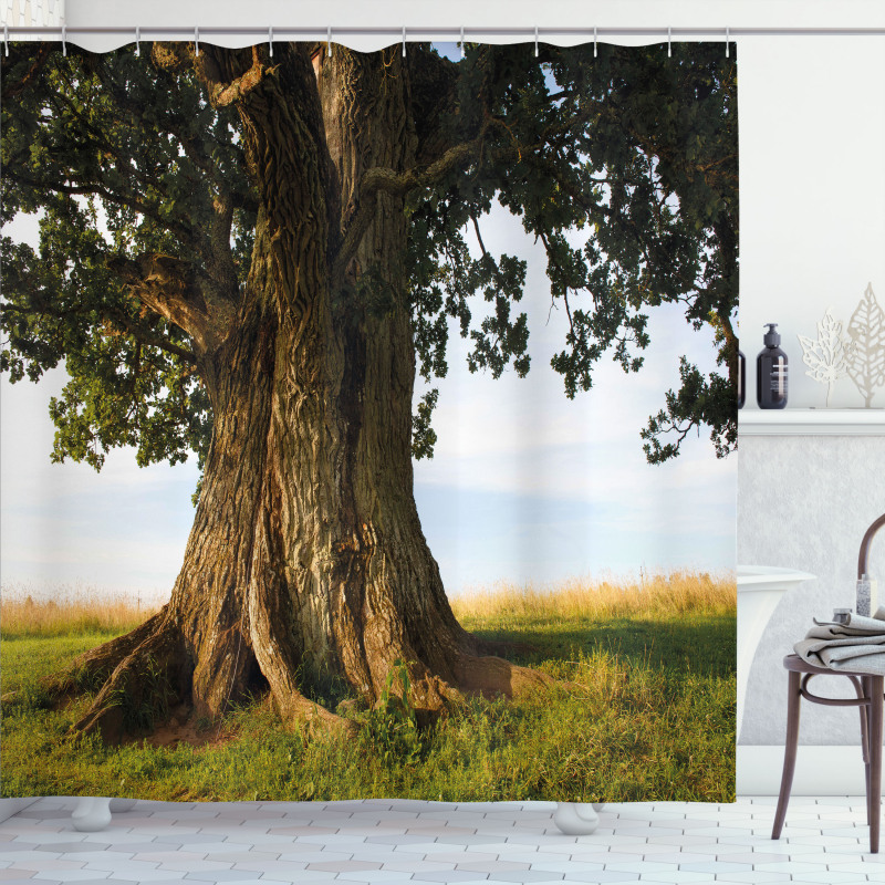 Majestic Oak Estonia Rural Shower Curtain