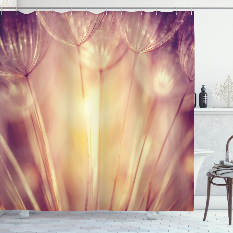 Dandelion Petals Spring Shower Curtain