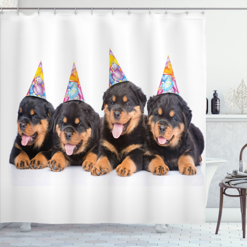 Birthday Dogs Hats Shower Curtain