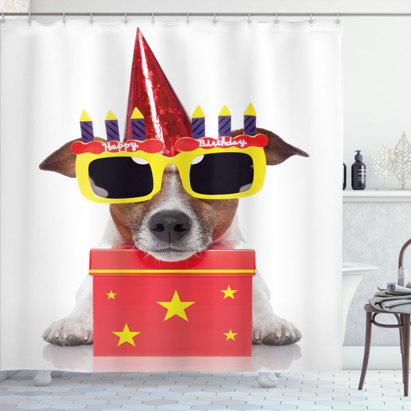 Party Dog Sunglasses Shower Curtain