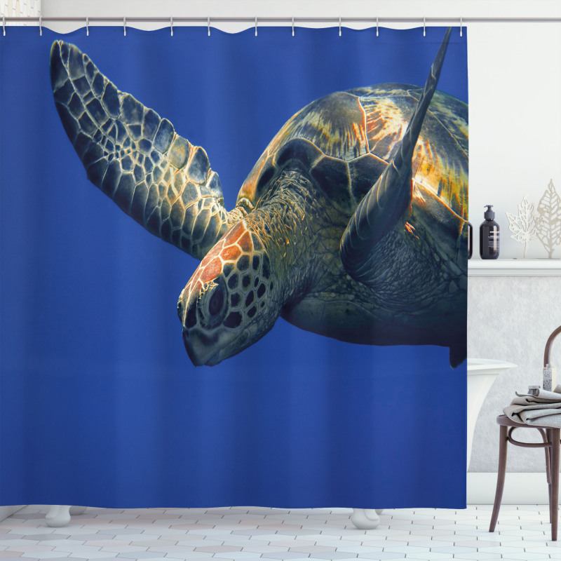 Sea Animal Swimming Shower Curtain