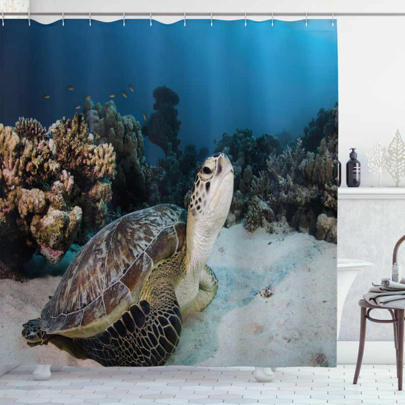 Turtle Coral Reef Shower Curtain