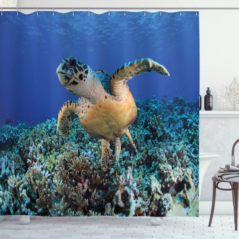 Cheloniidae Deep Ocean Shower Curtain