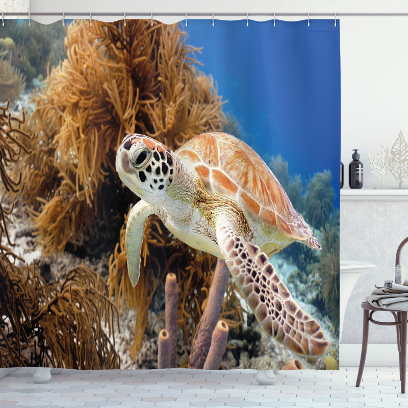 Tropic Waters Coral Reef Shower Curtain