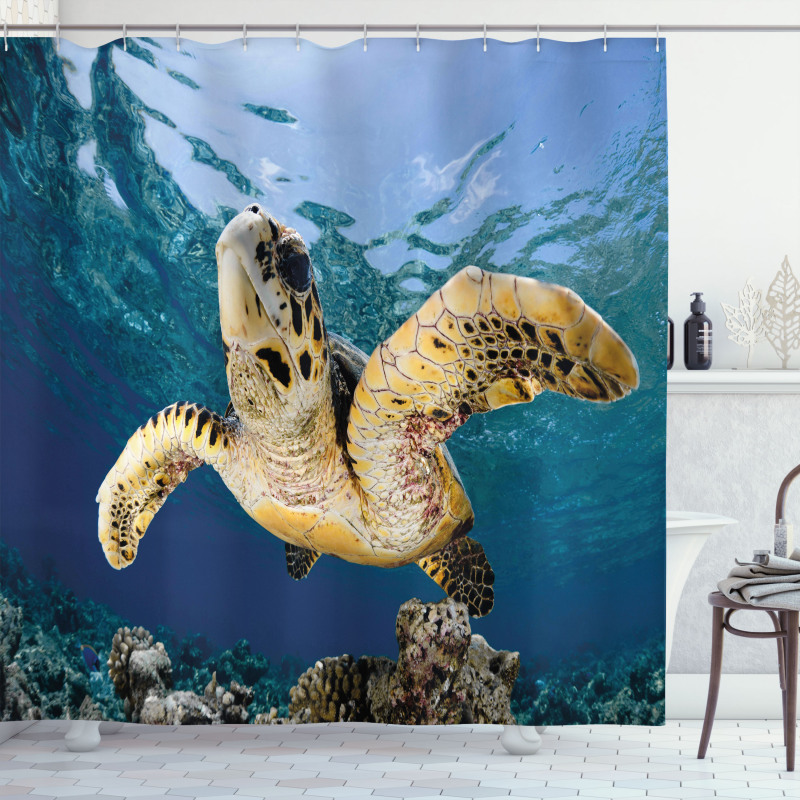 Hawksbill Sea Turtle Shower Curtain