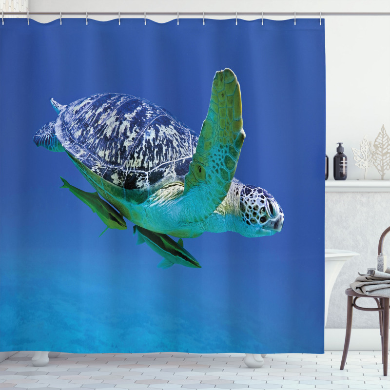 Tropics Turtle Aquarium Shower Curtain