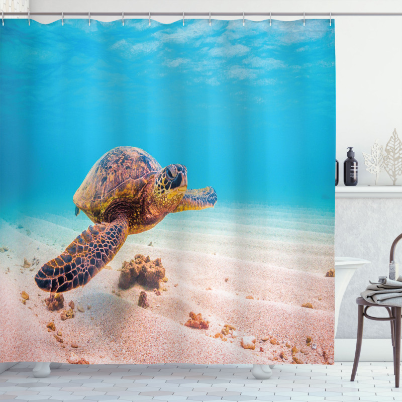 Sea Turtle Underwater Shower Curtain