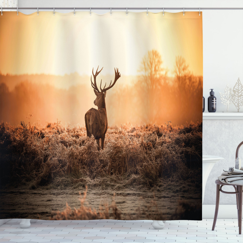 Deer Morning Sun Shower Curtain