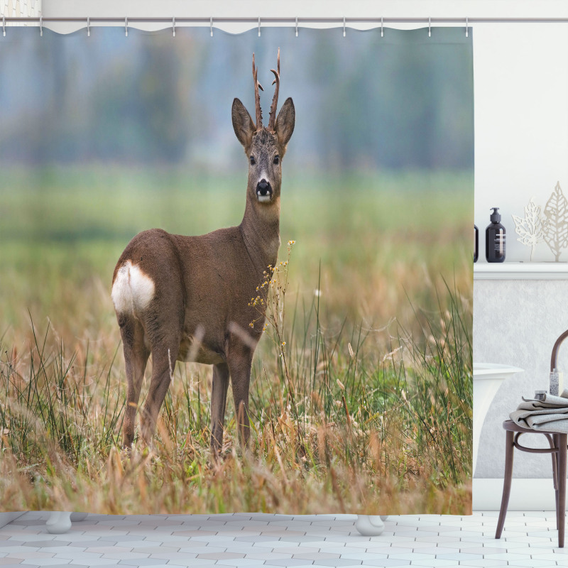 Deer Wildlife Shower Curtain