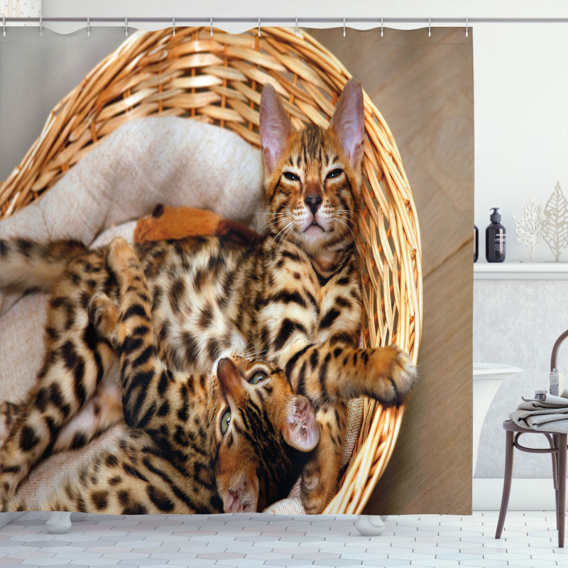 Bengal Cats in Basket Shower Curtain