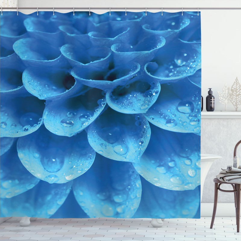 Gerbera Abstract Petals Shower Curtain