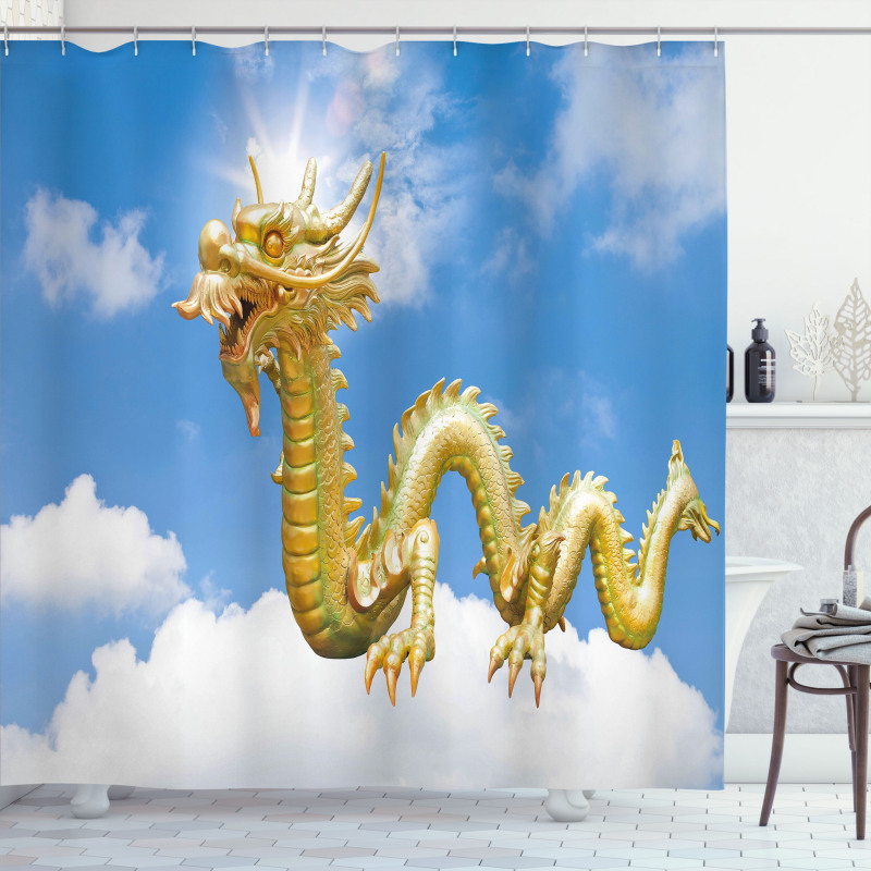 Cultural Chinese Shower Curtain
