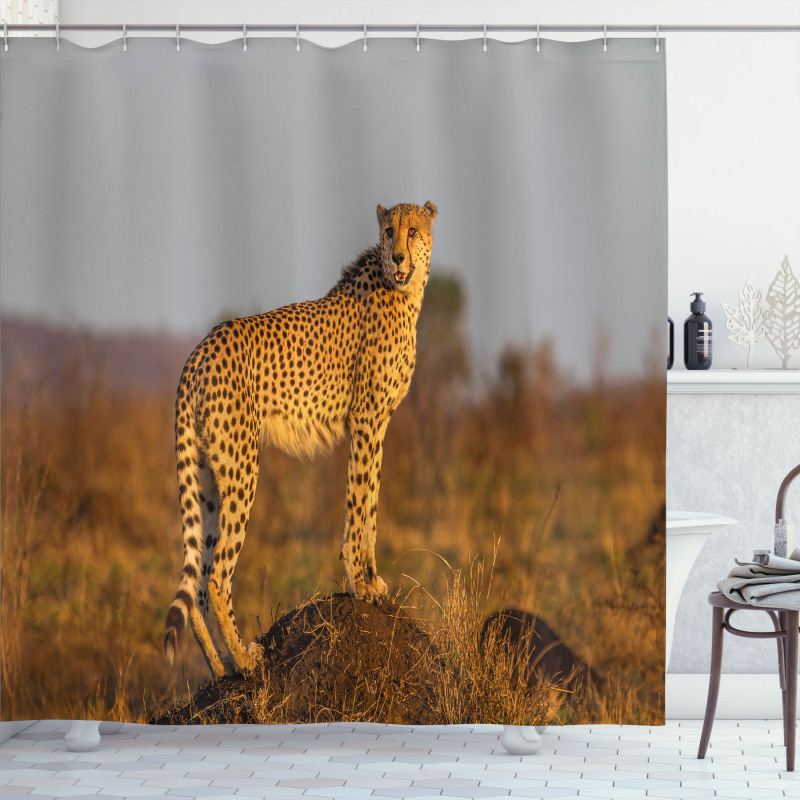Wild Cheetah Shower Curtain