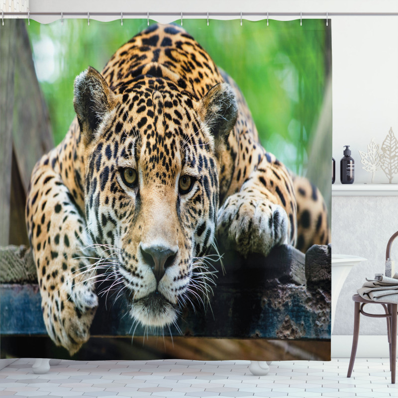 Jaguar Wildcat Feline Shower Curtain