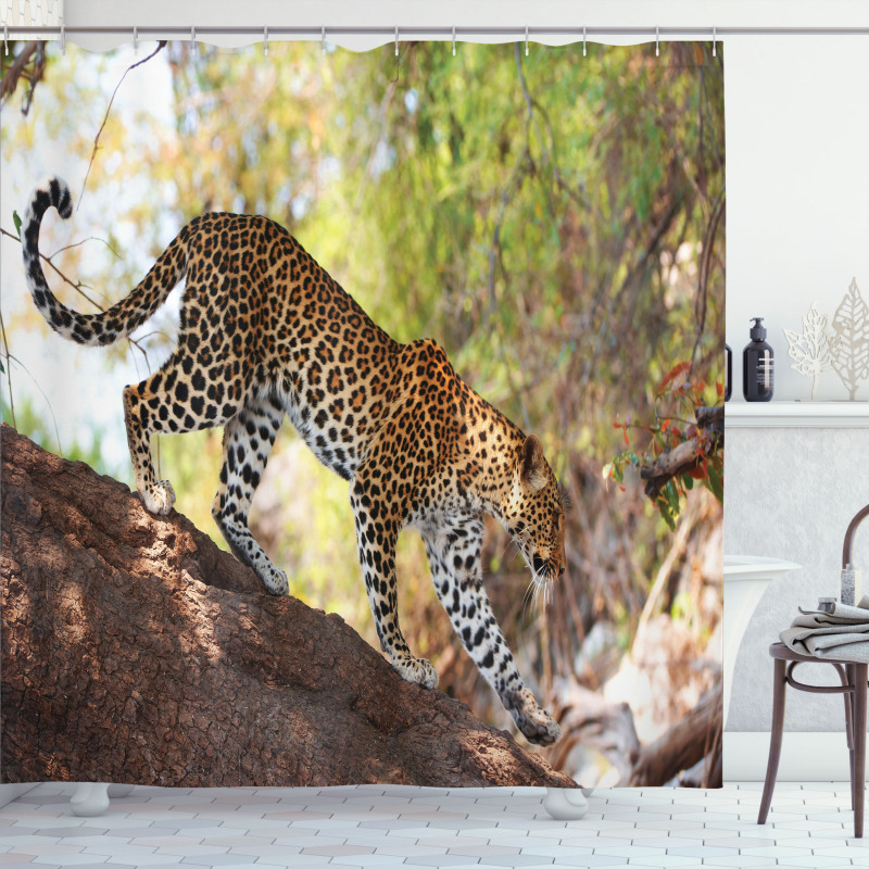 Leopard Tree Nature Reserve Shower Curtain