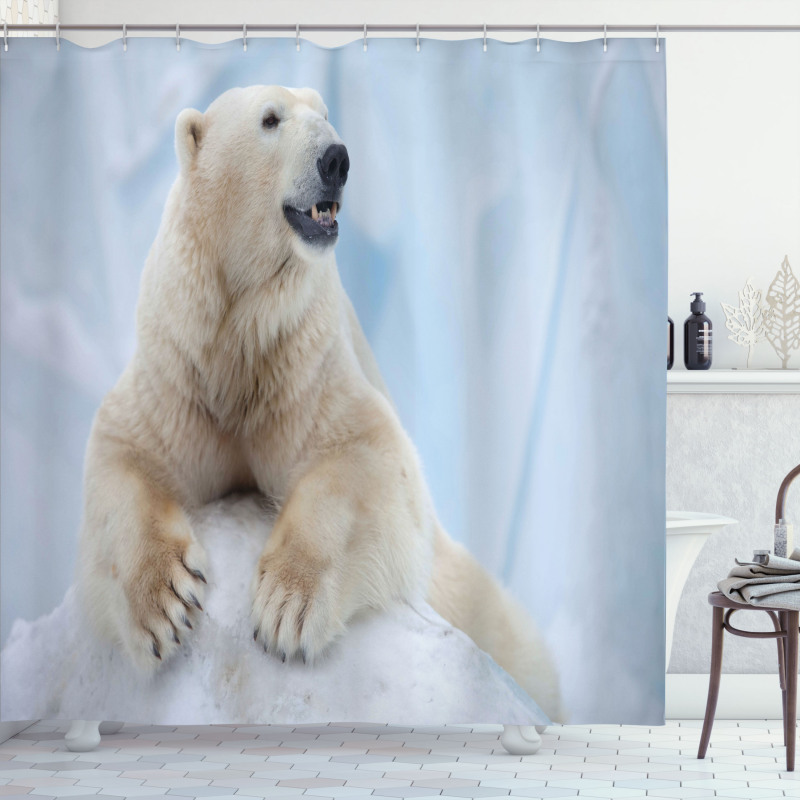 White Polar Bear on Ice Shower Curtain