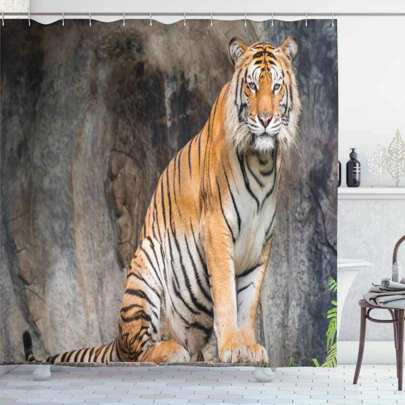 Bengal Tiger Cat Predator Shower Curtain