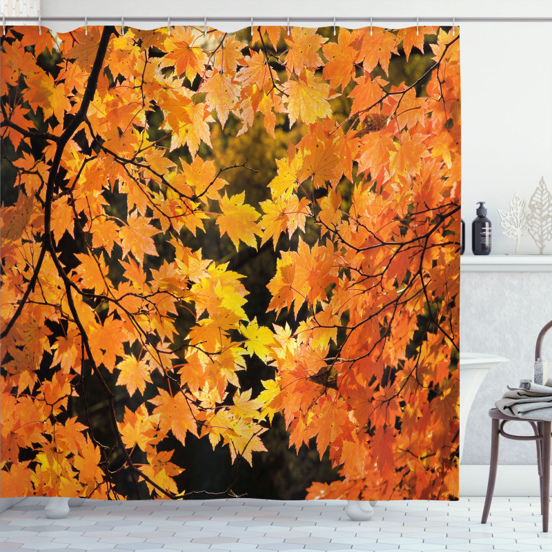 Vivid Autumn Maple Leaves Shower Curtain