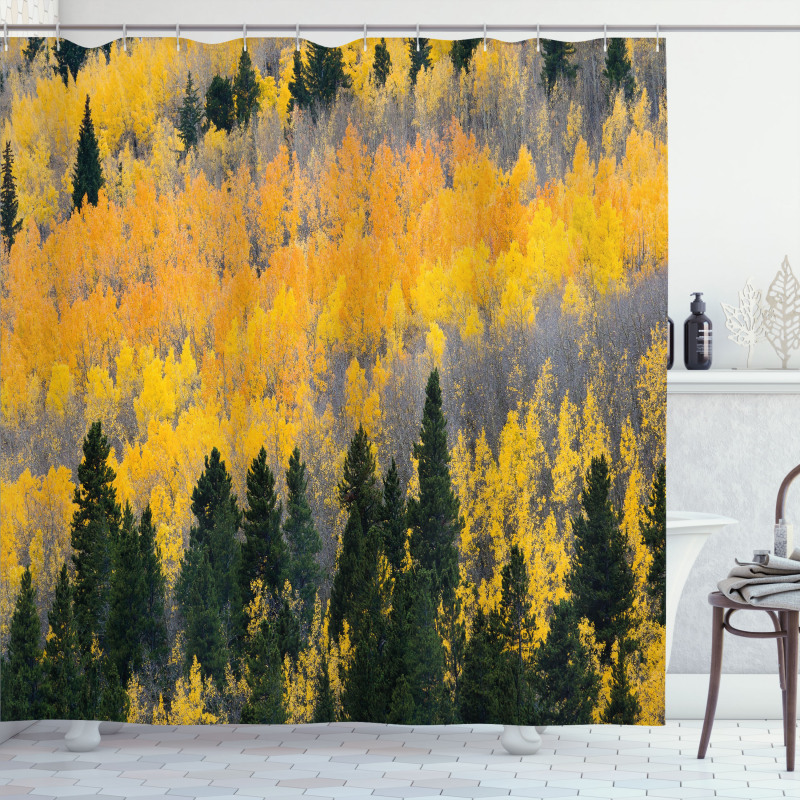 Colorful Aspen Trees USA Shower Curtain