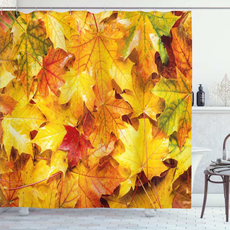 Wet Maple Leaves Nature Shower Curtain