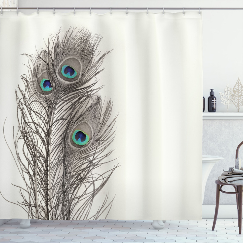Feathers of Exotic Bird Shower Curtain