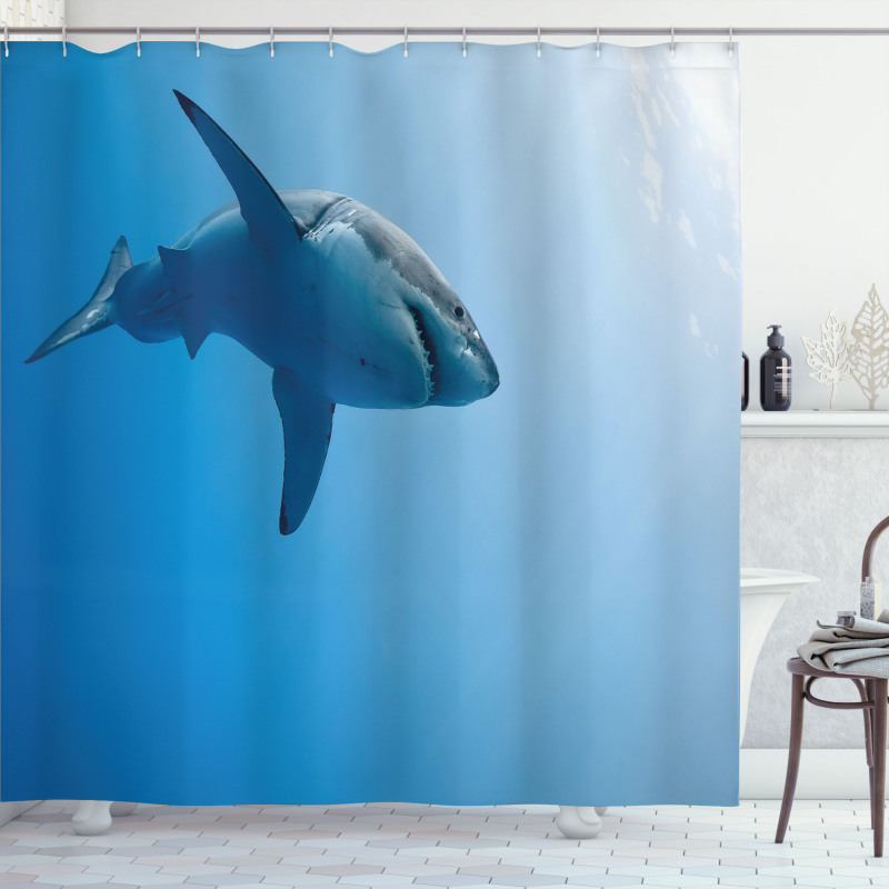 Fish in Ocean Swimming Shower Curtain