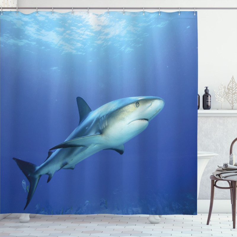 Exotic Dreamy Ocean Life Shower Curtain
