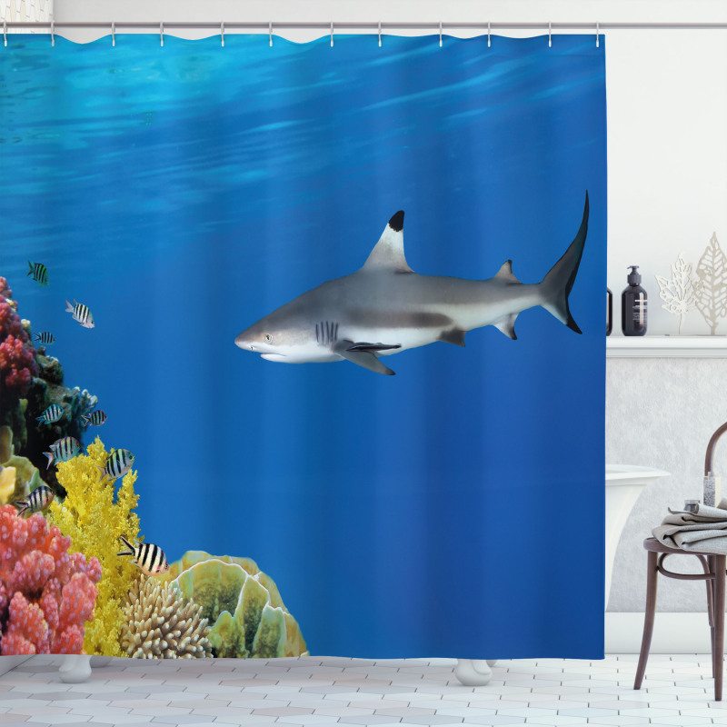 Tropic Underwater World Shower Curtain