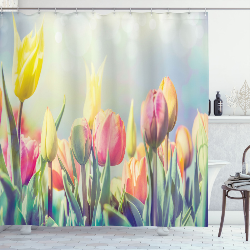 Tulips Flower Bed Park Shower Curtain