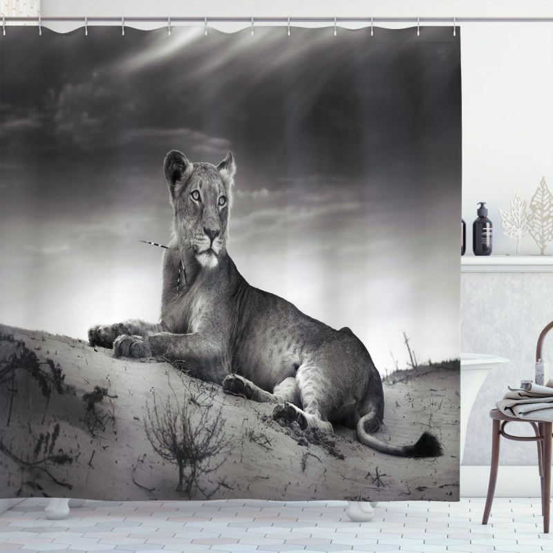 Wild Lioness Shower Curtain