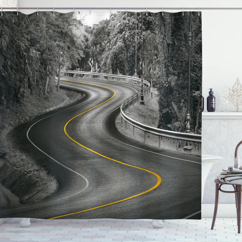 Asphalt Road Shower Curtain