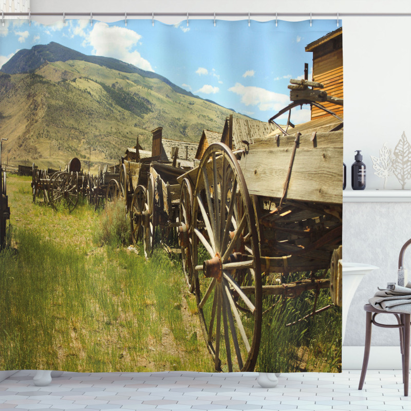 Old Carriages Shower Curtain