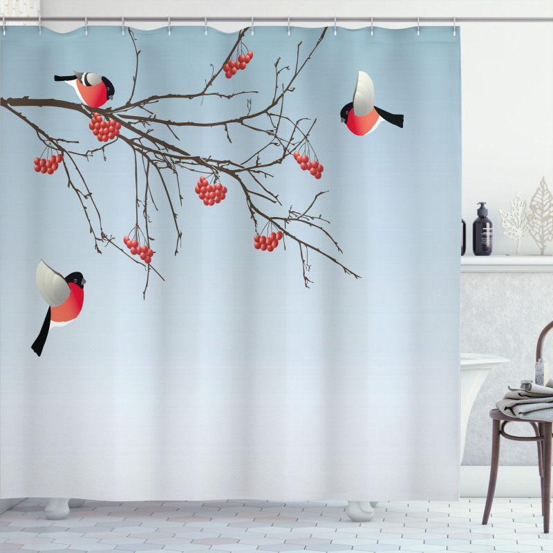 Bullfinch Birds Branches Shower Curtain