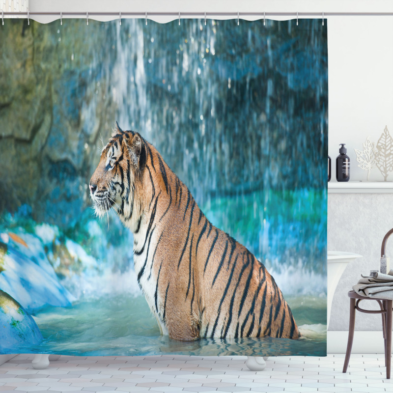 Feline Animal in Pond Shower Curtain