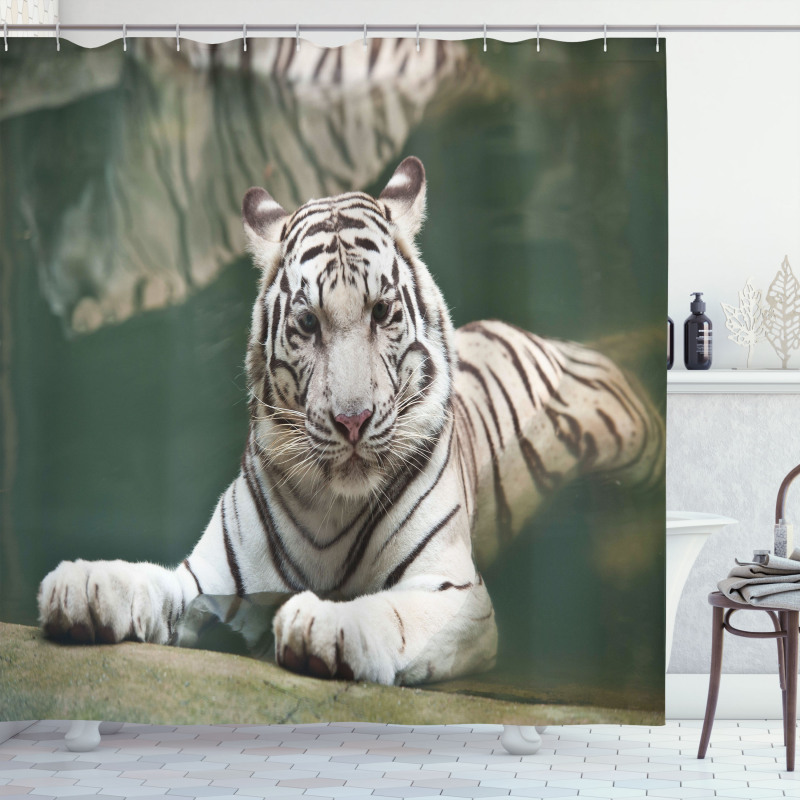 White Tiger Swimming Fun Shower Curtain