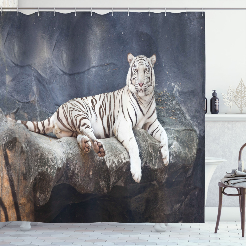 Wildlife Cat on the Rock Shower Curtain