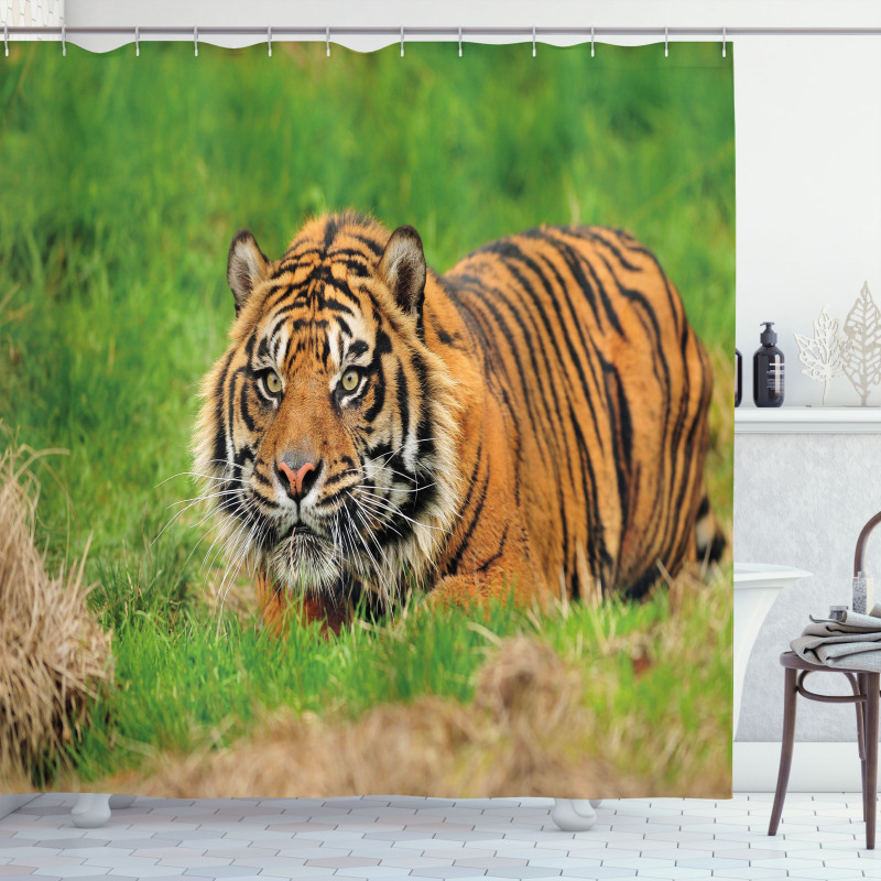 Sumatran Feline Ambush Shower Curtain