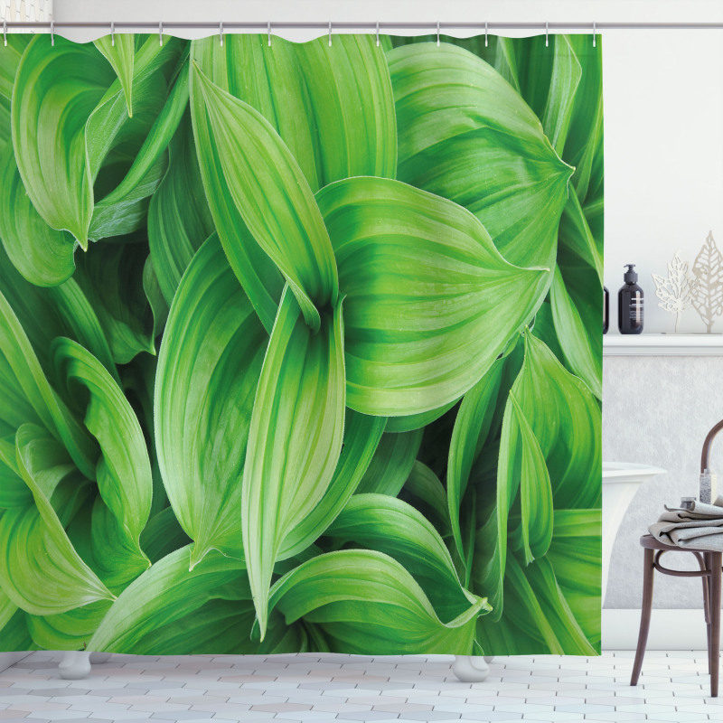 Tropic Foliage Pattern Shower Curtain