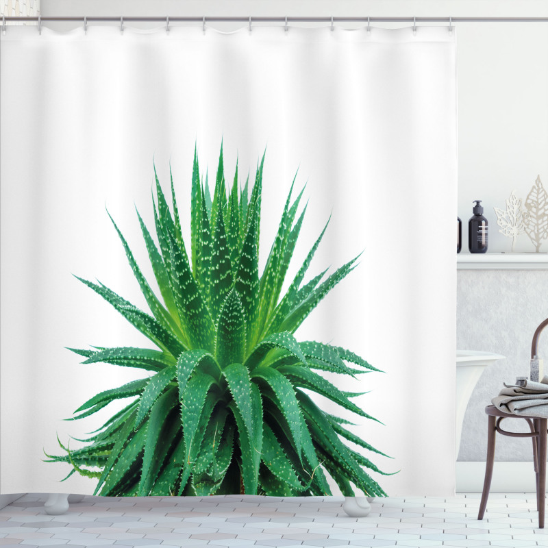 Vibrant Aloe Vera Shower Curtain