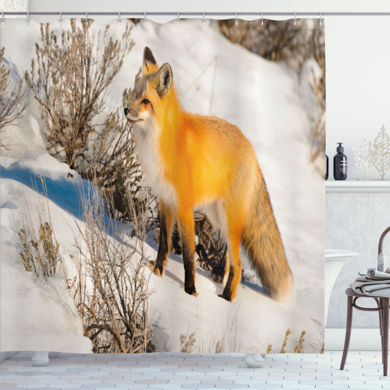 Red Fox in Snowy Nature Shower Curtain