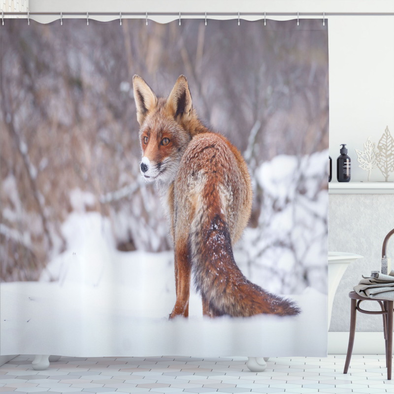 Snowy Country Furry Animal Shower Curtain