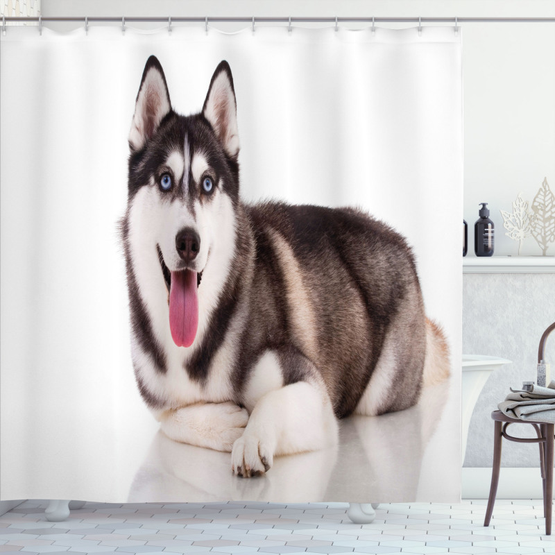 Funny Siberian Shower Curtain