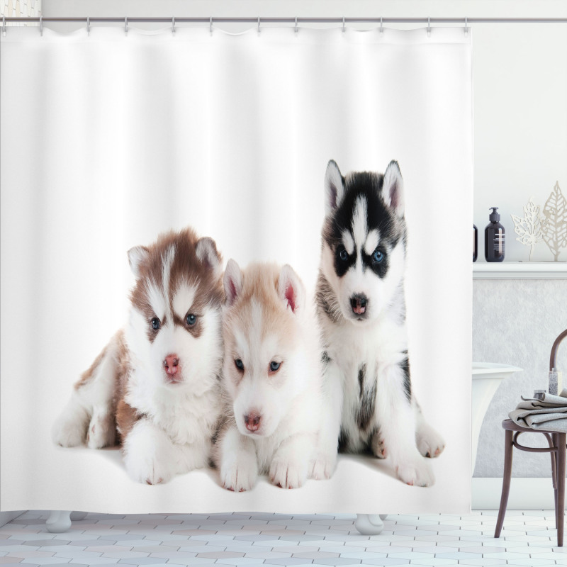 Puppy Friends Shower Curtain