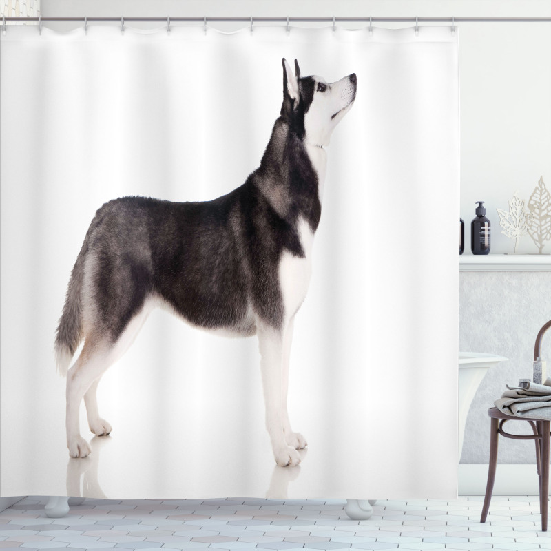 Arctic Animal Shower Curtain