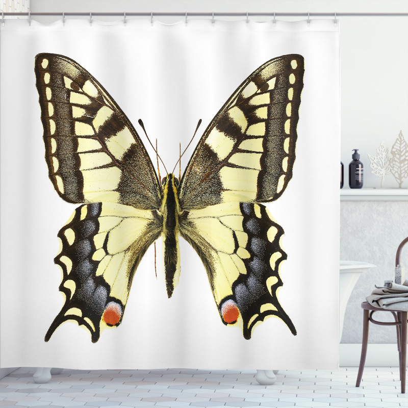 Old Papilio Shower Curtain