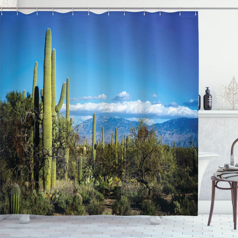 Tucson Countryside Cacti Shower Curtain