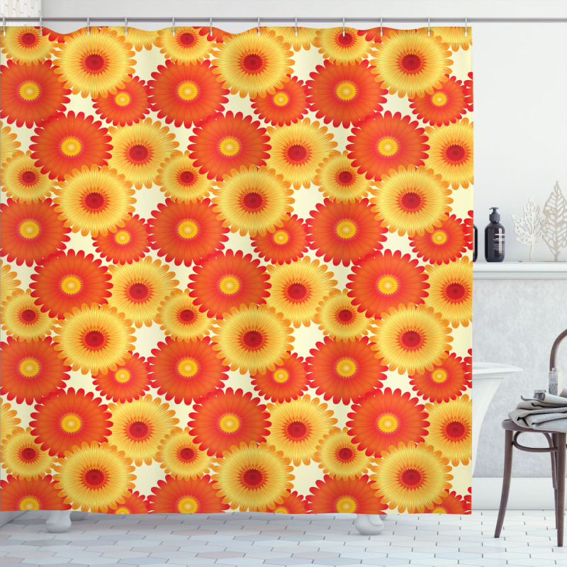 Gerbera Petals Graphic Shower Curtain